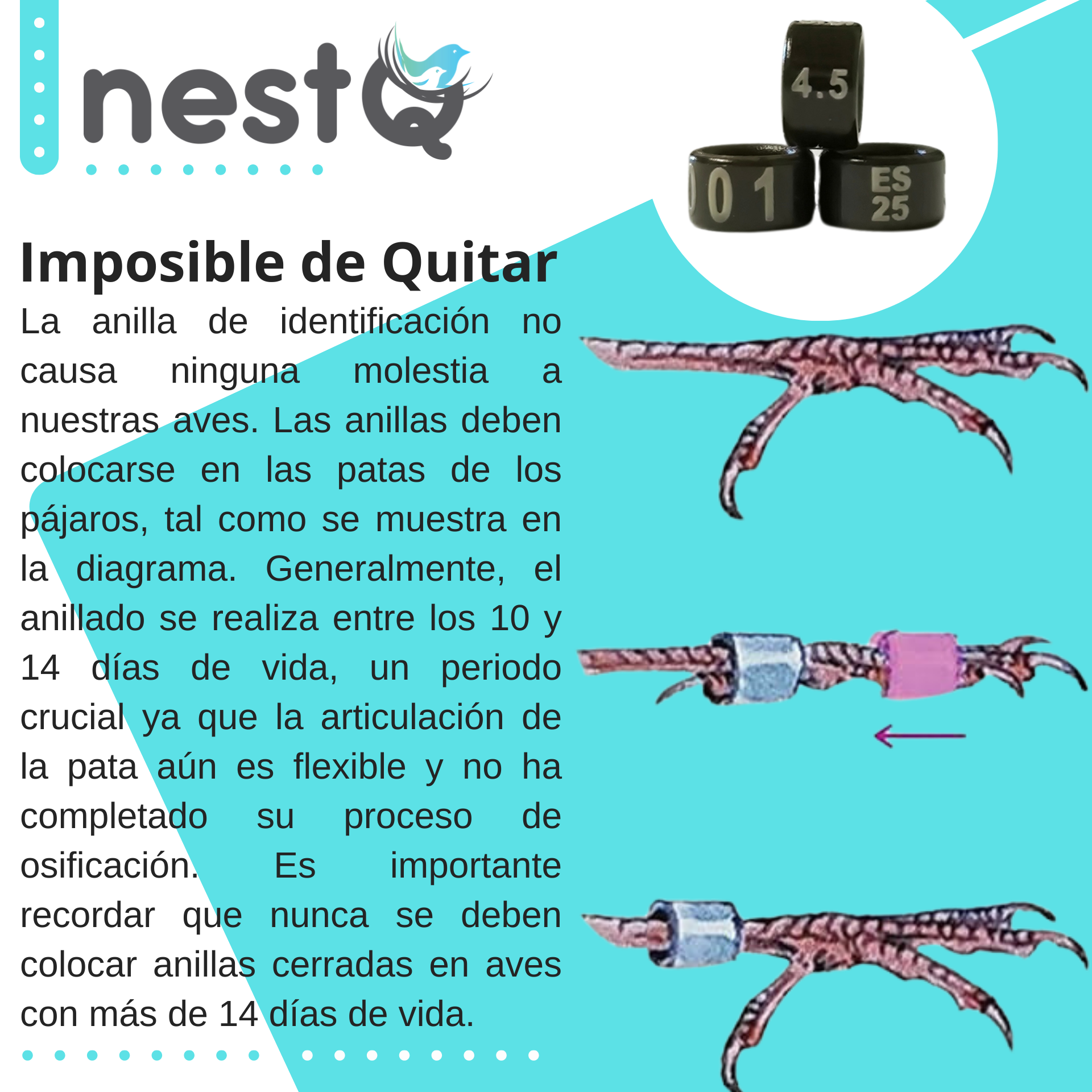 E04af6cb9ea914e58b2534e46de80ea02Y