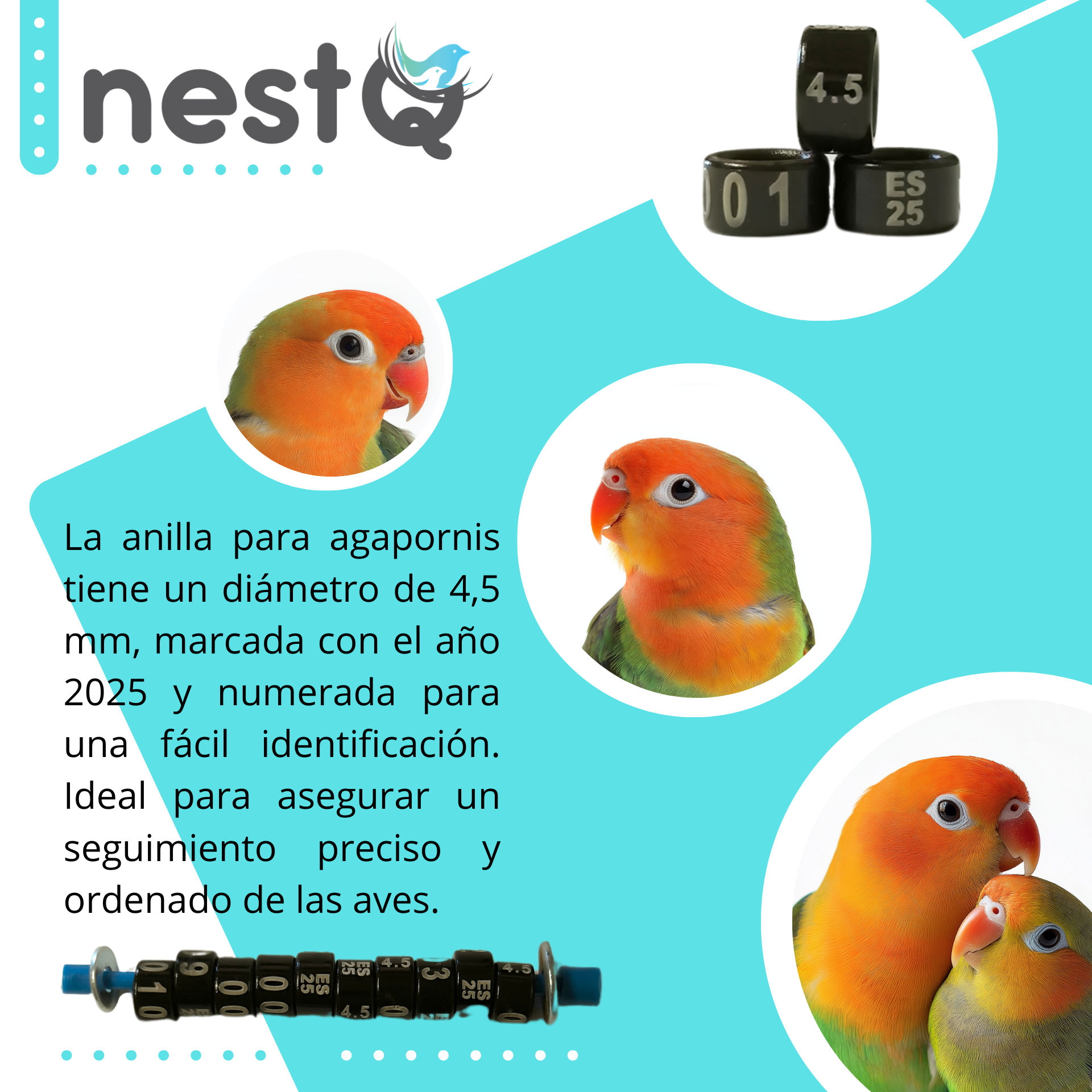 E11c04f04db3c49058307029c77c9f09eM