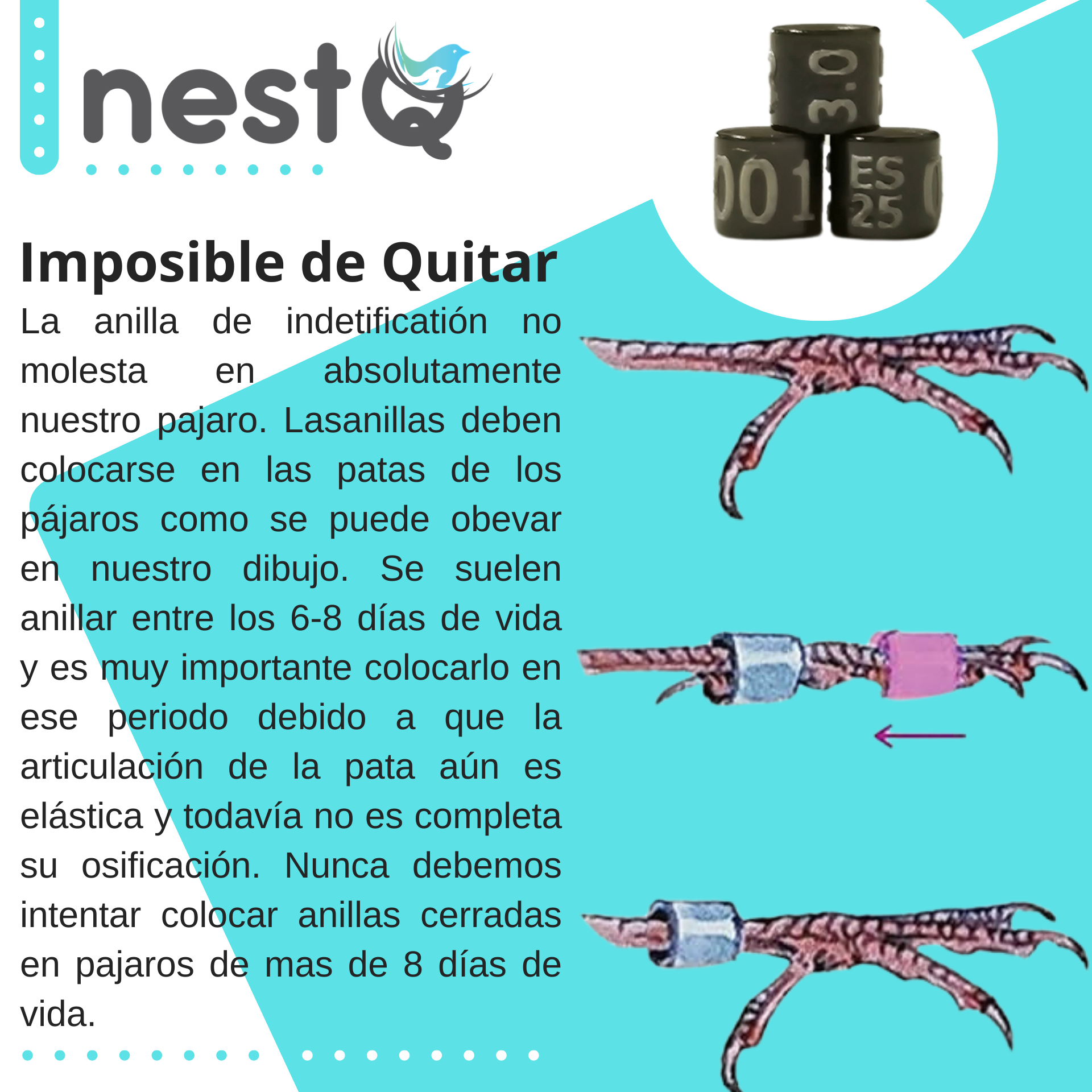 E1e8a3d67a9014e478b4a9936f175b396E (1)