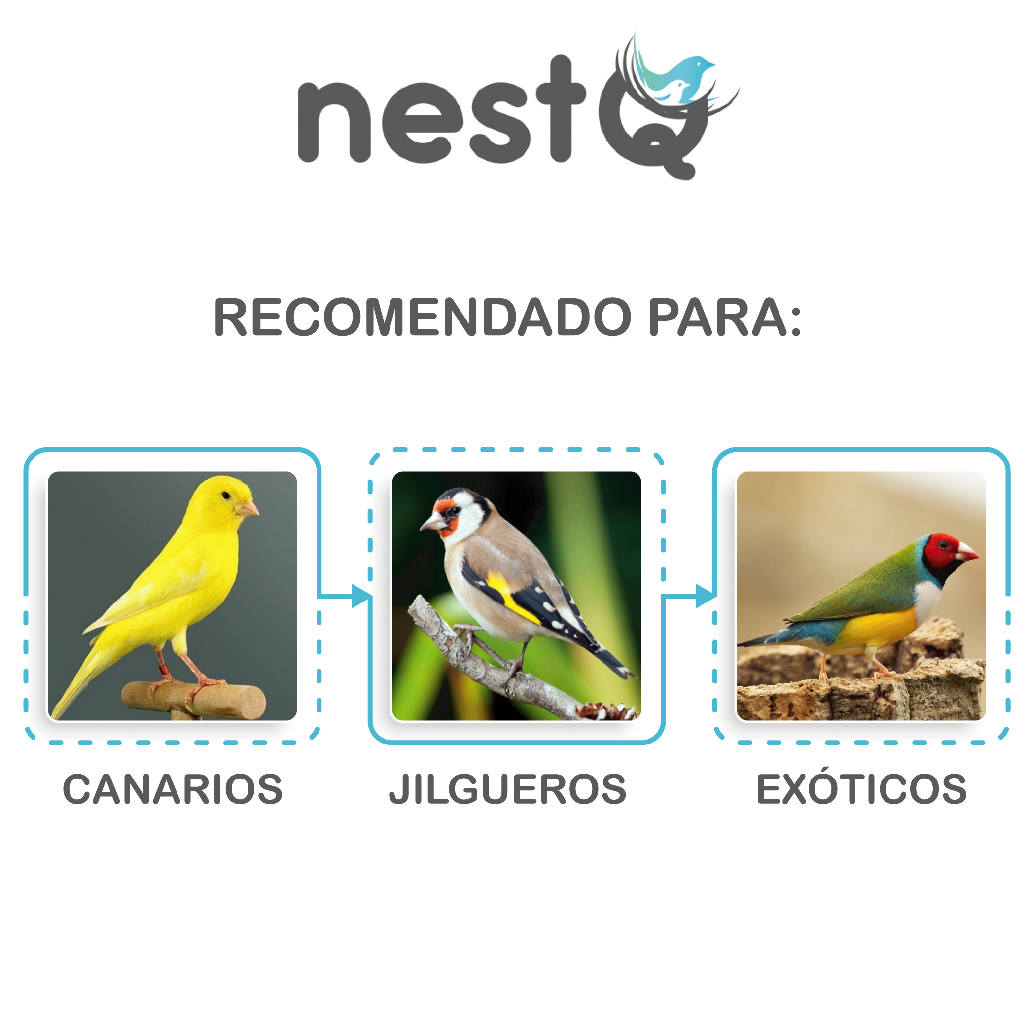 E343c9d44644e46a392db8784a273b3dcV