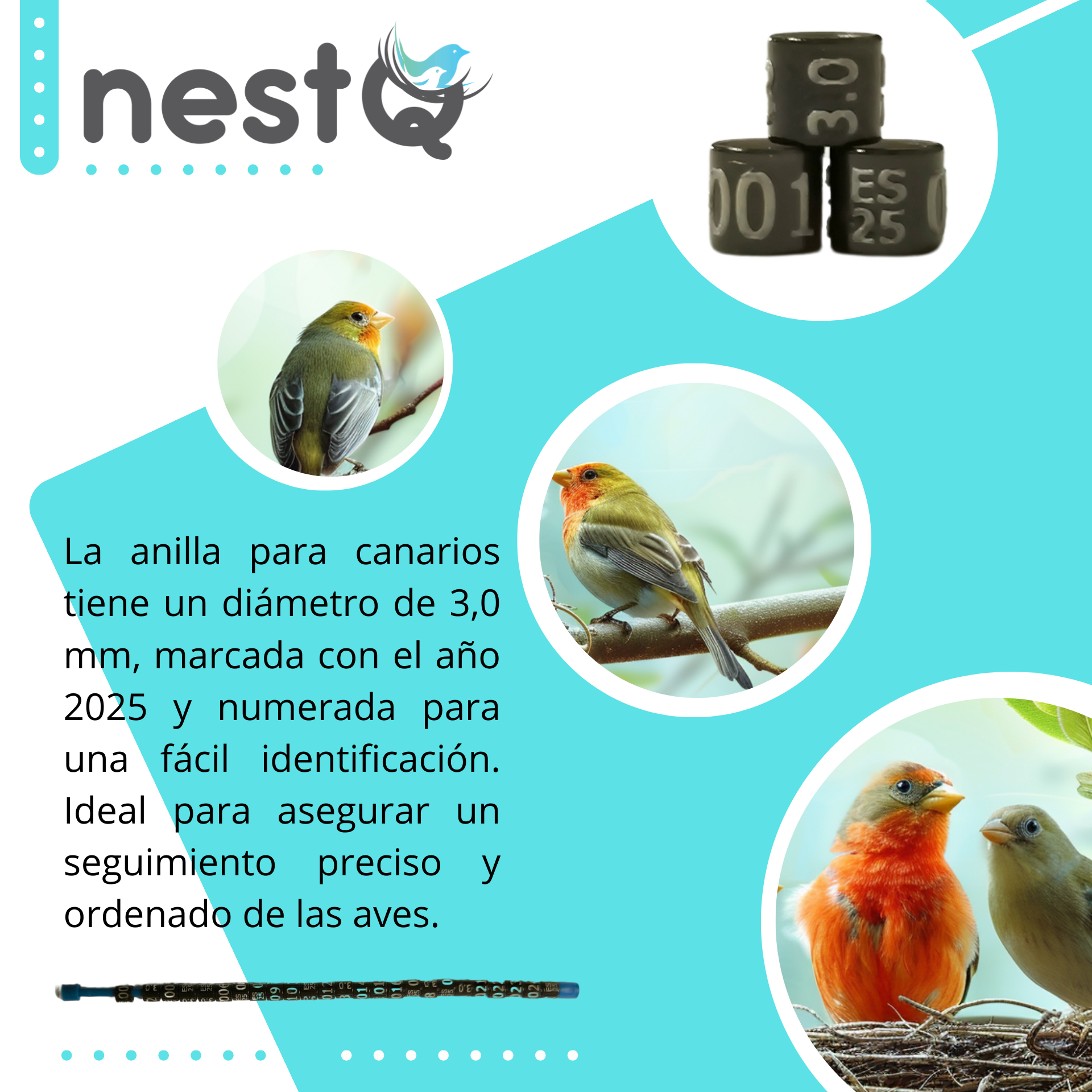 E37350d9e662049f3a1f8a3eb6f166b75t (1)